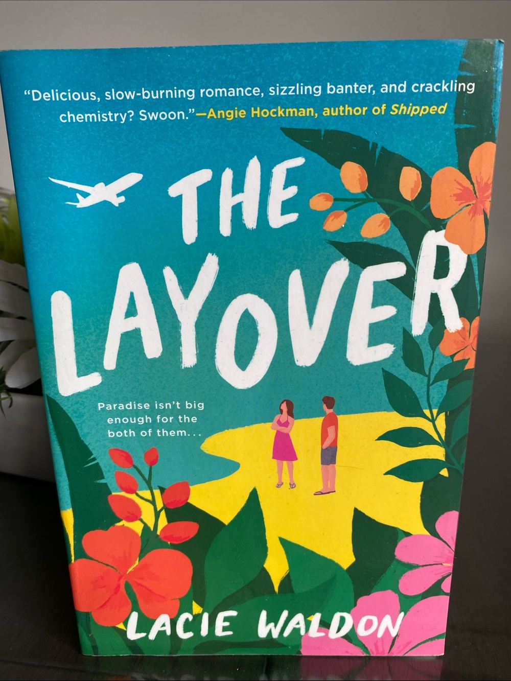 The Lay Over Book Lacie Waldon novel